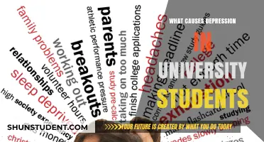 University Students' Depression: Understanding the Causes