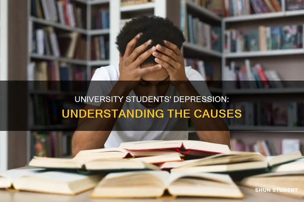 what causes depression in university students