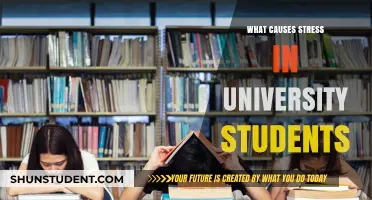 Stress Factors: University Students' Mental Health