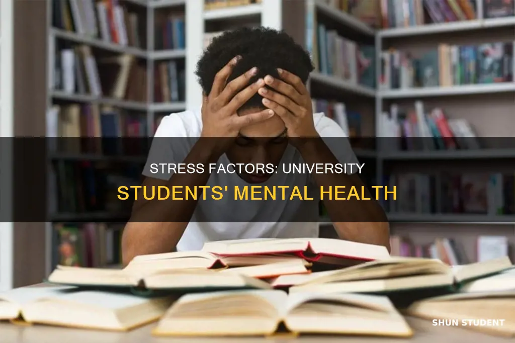 what causes stress in university students