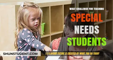 Teaching Special Needs Students: Overcoming Unique Challenges in the Classroom