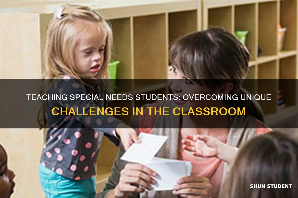 what challenge for teaching special needs students