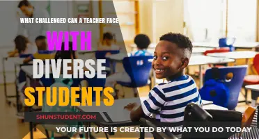 Navigating Diversity: Challenges Teachers Encounter in Multifaceted Classrooms