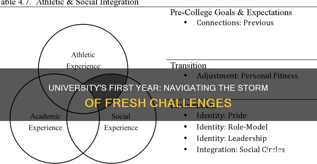 what challenges do first year students face at university