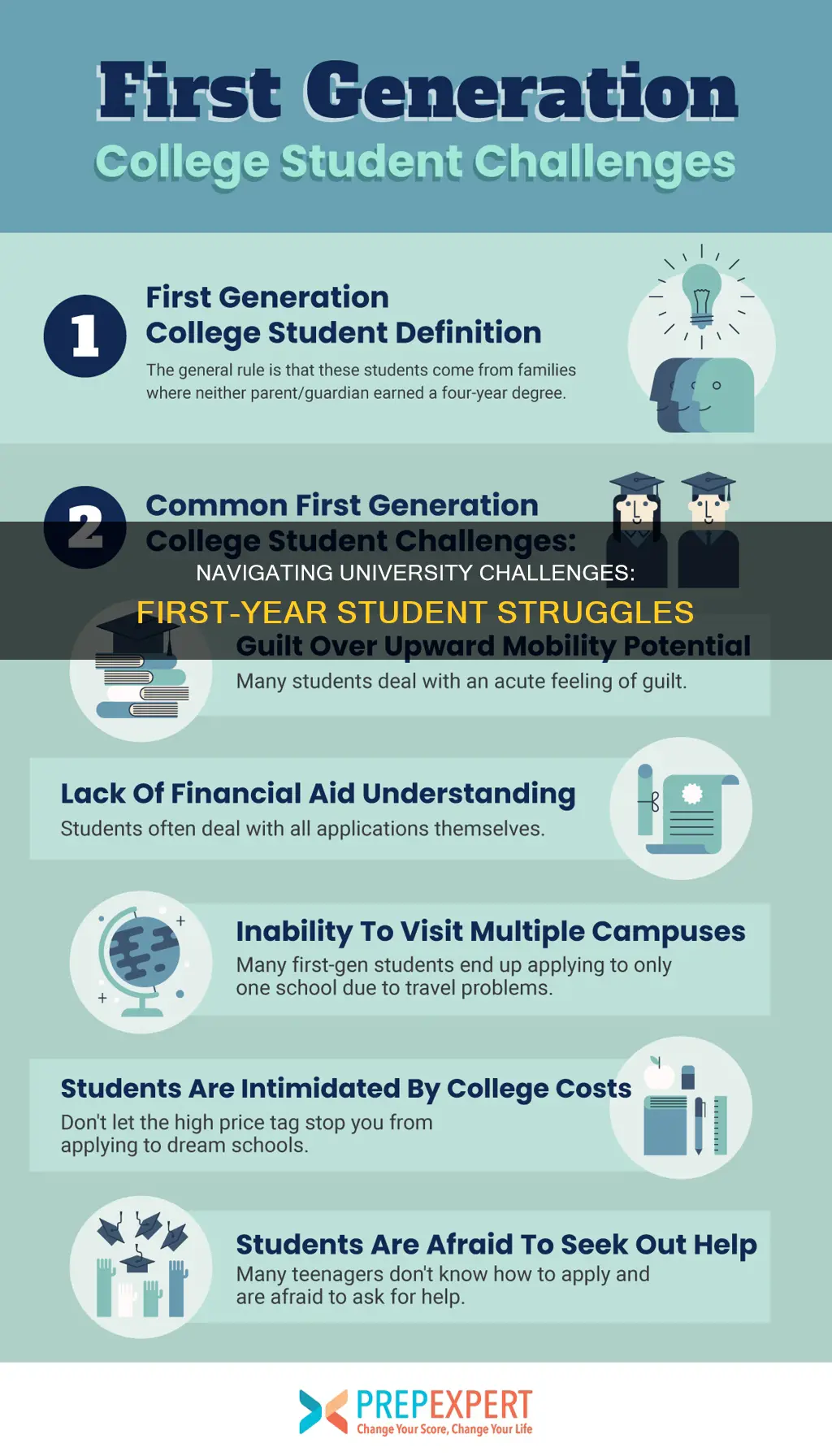 what challenges do first year students face at university