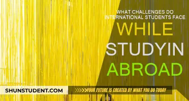 Navigating Challenges: International Students' Study Abroad Experience