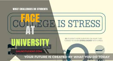 University Challenges: Overcoming Student Struggles
