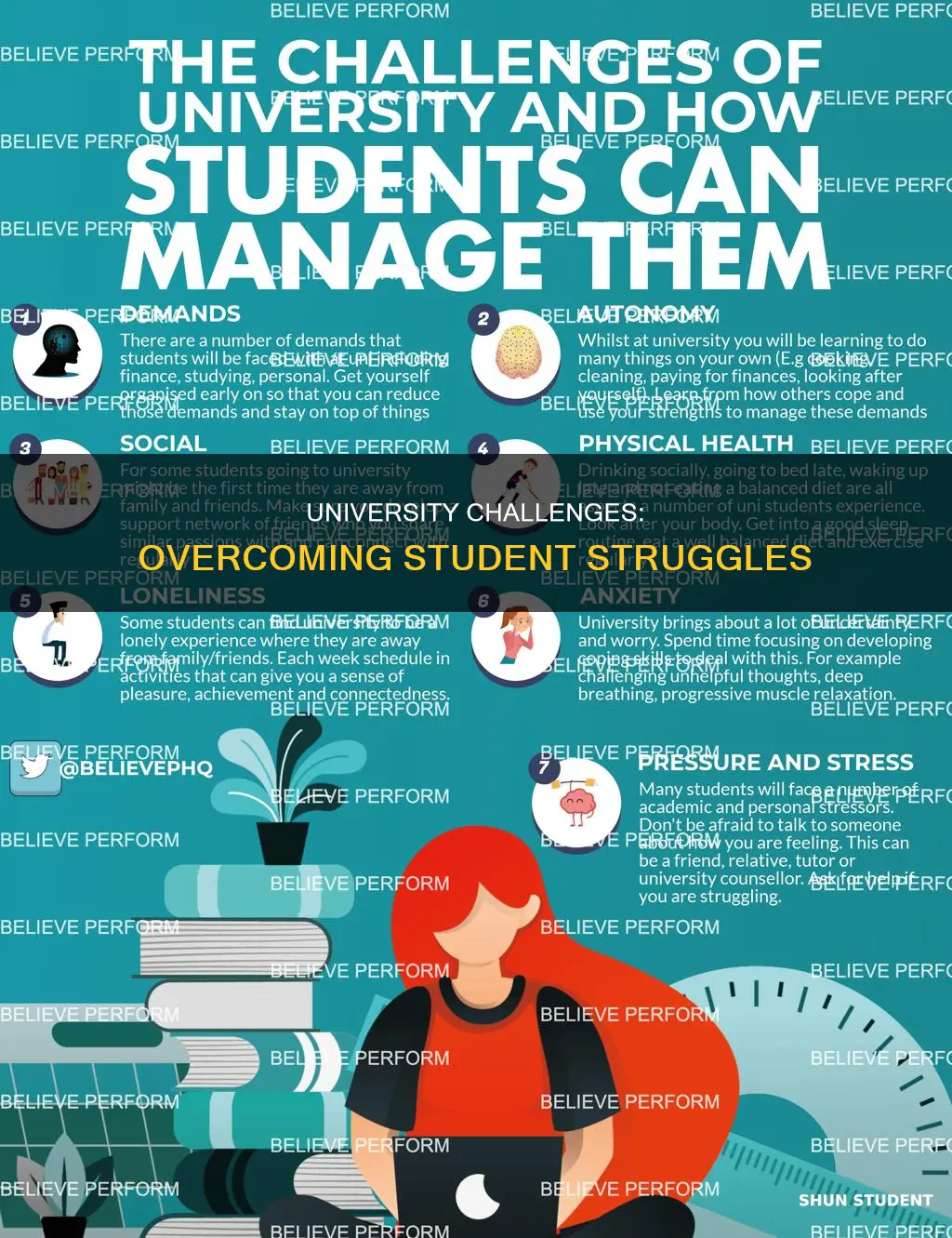 what challenges do students face at university