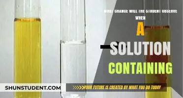 Observing Chemical Reactions: Student's Guide to Solution Changes