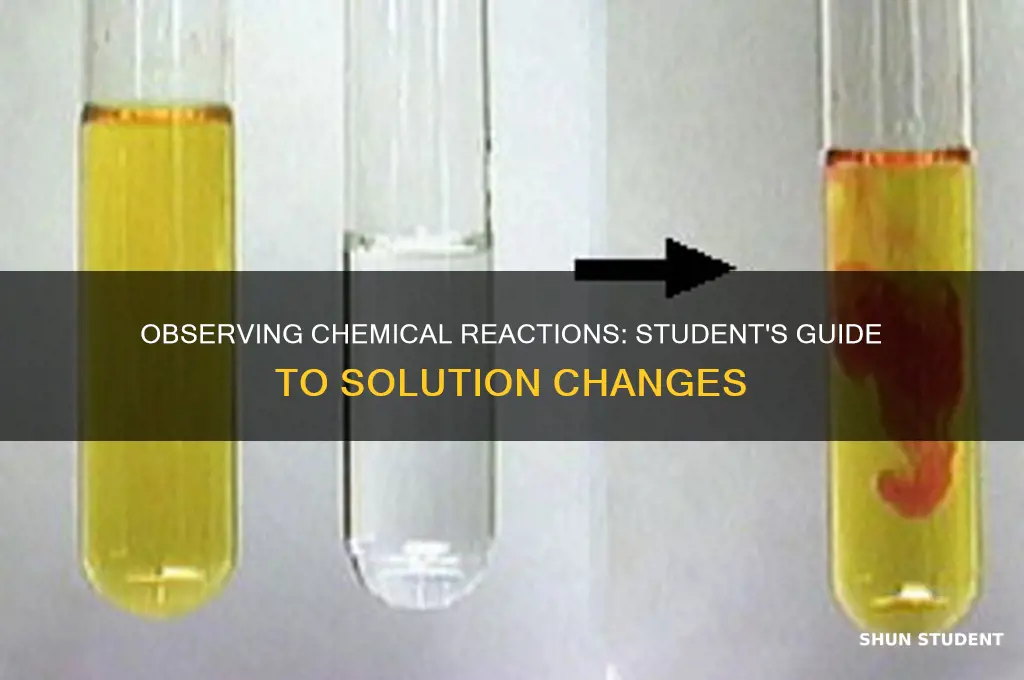 what change will the student observe when a solution containing