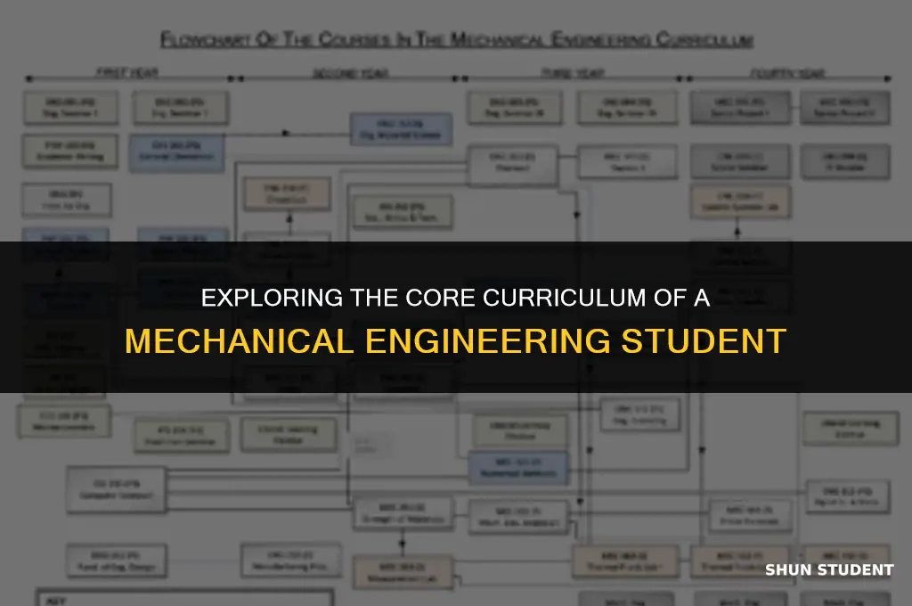 what clases would i take an a mechanical engineer student