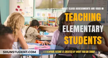 Effective Class Assessments for Teaching Elementary Students: Strategies and Tools