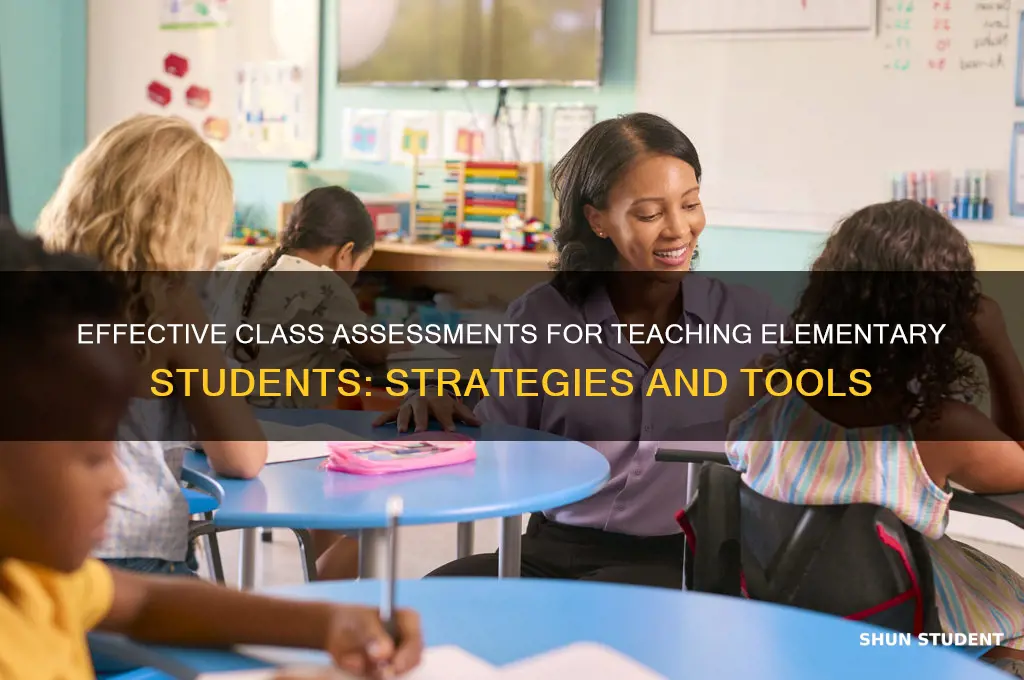 what class assessments are used in teaching elementary students