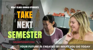 Strategic Learning: Selecting the Perfect Class for Next Semester