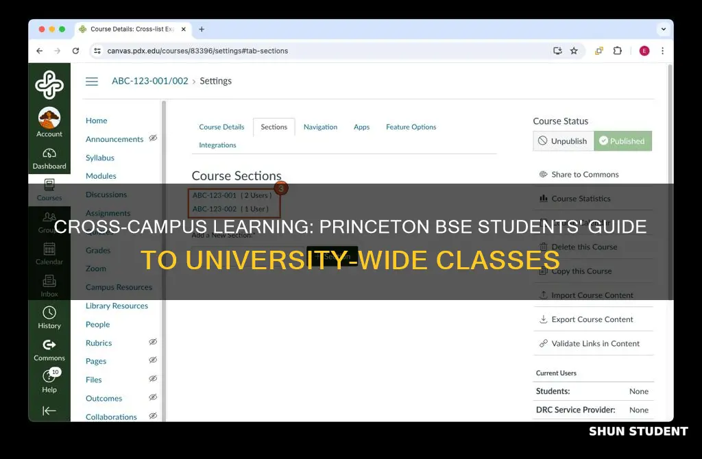 what classes can princeton bse students take at another university