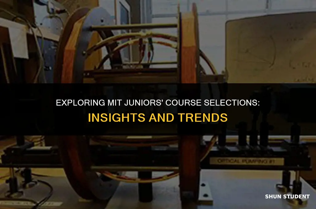 what classes did mit students take junior year
