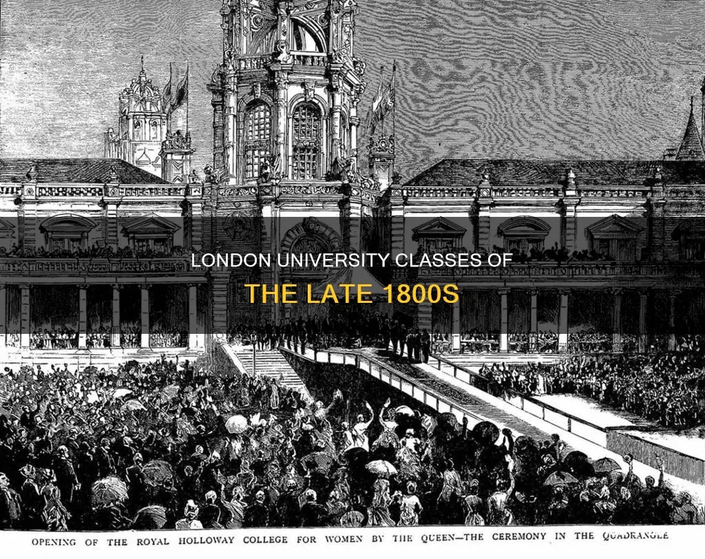 what classes did students in university take in london 1880-1900