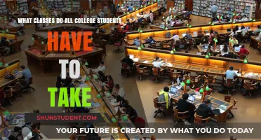 Essential Courses: A Guide to Mandatory Classes for College Students