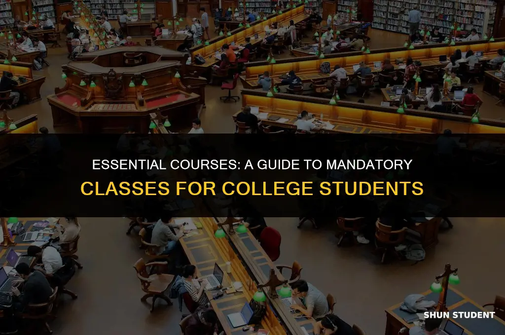 what classes do all college students have to take