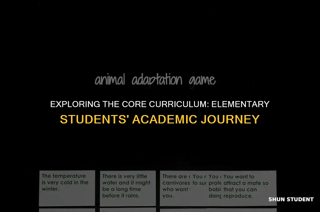 what classes do elementary students take