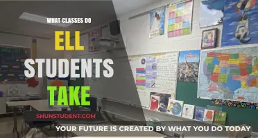 Exploring the Educational Journey: Classes for English Language Learners