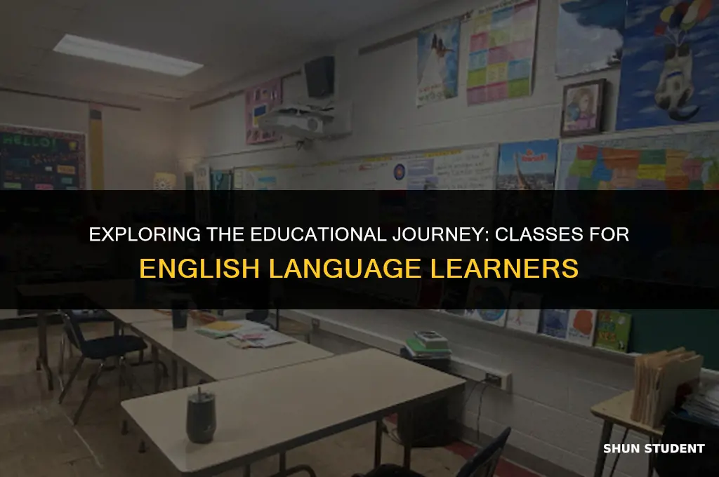 what classes do ell students take