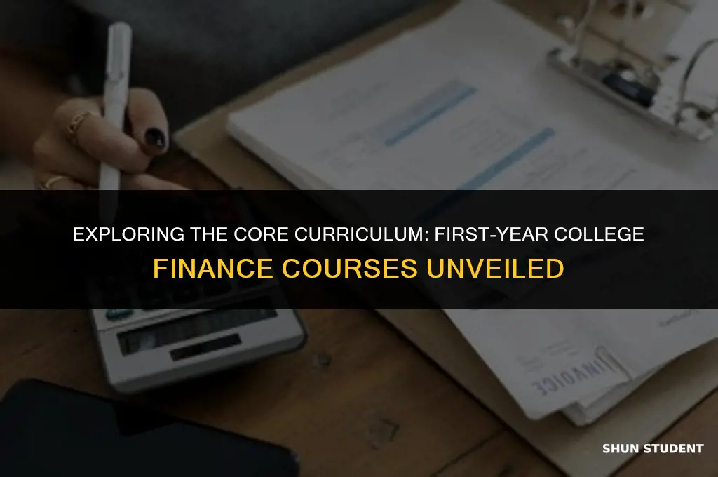 what classes do first year college finance students take