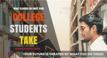 Exploring the Essential First-Year College Coursework: A Comprehensive Guide