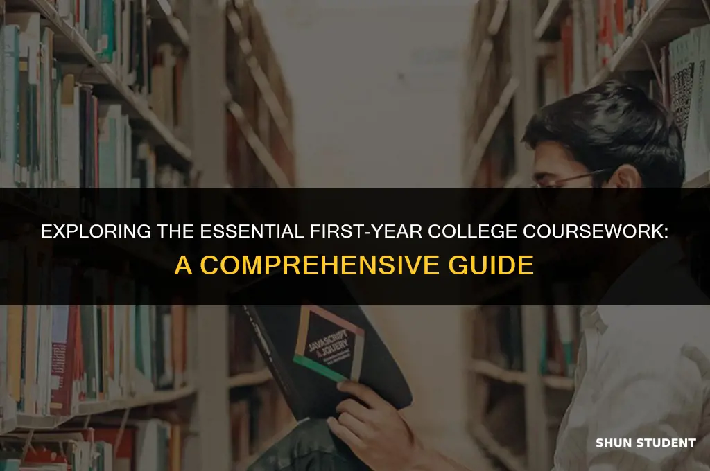 what classes do first year college students take