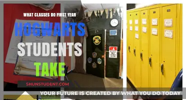 Exploring the Magical Curriculum: First Year at Hogwarts