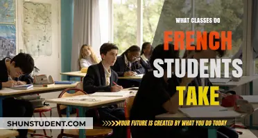 Exploring the Academic Curriculum of French Students: A Comprehensive Guide