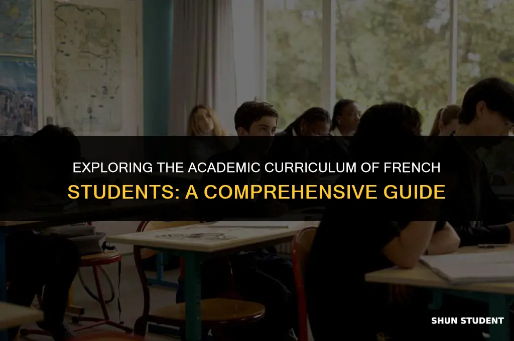 what classes do french students take