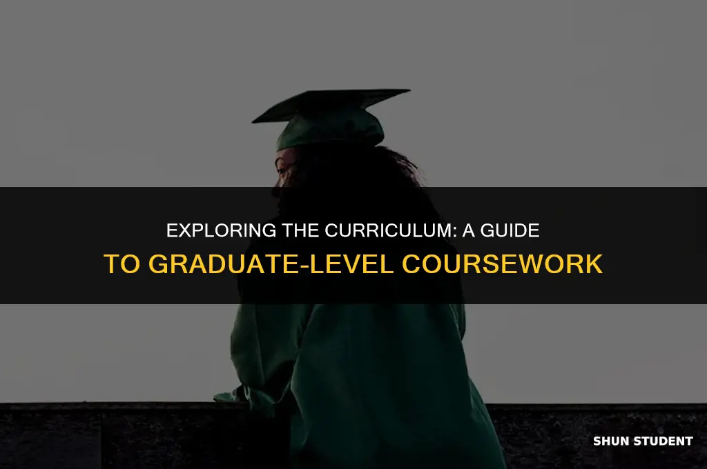 what classes do graduate students take