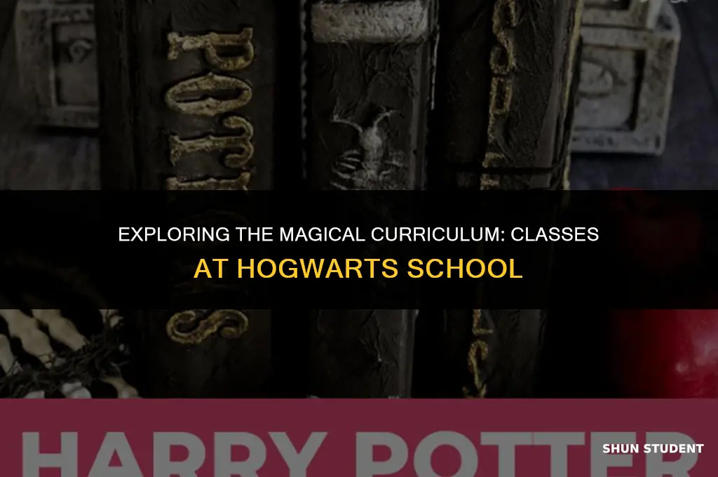 what classes do hogwarts students take