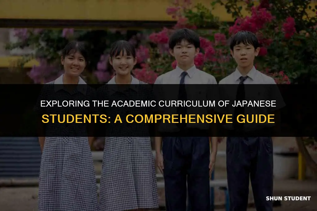 what classes do japanese students take