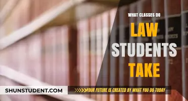 Exploring the Curriculum: Essential Classes for Aspiring Lawyers