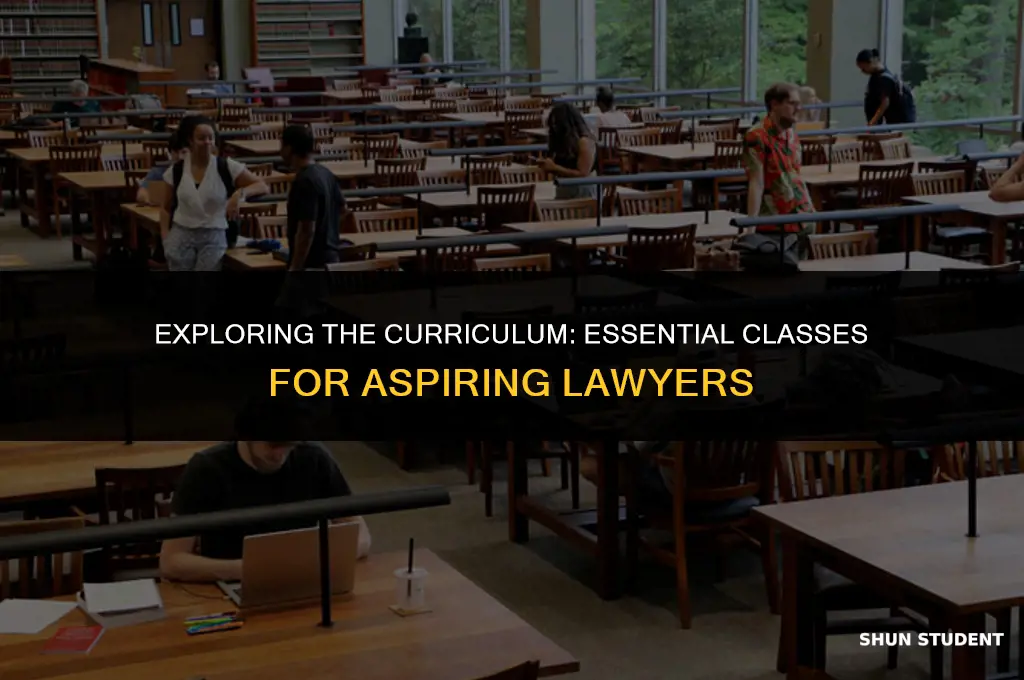 what classes do law students take