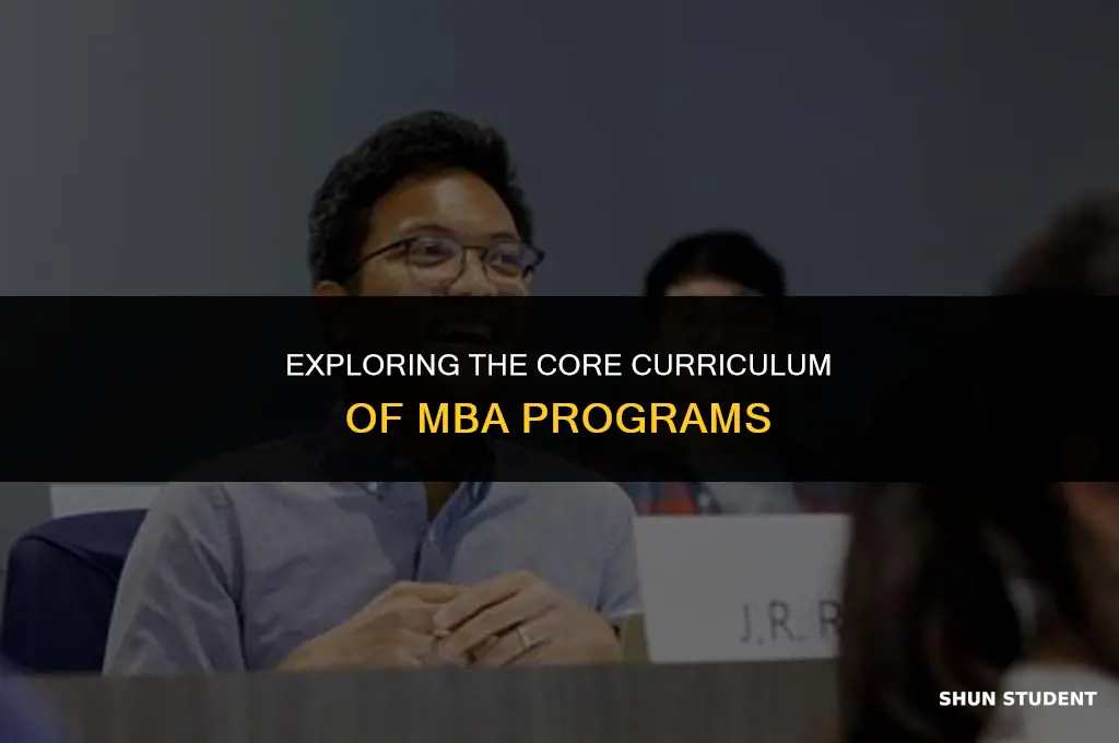 what classes do mba students take