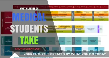Exploring the Rigorous Curriculum of Future Physicians: A Glimpse into Medical School Classes