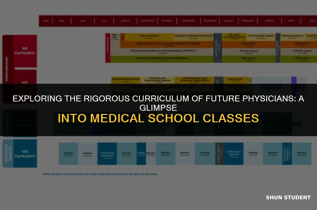 what classes do medical students take