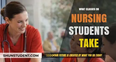 Exploring the Essential Courses in a Nursing Student's Curriculum