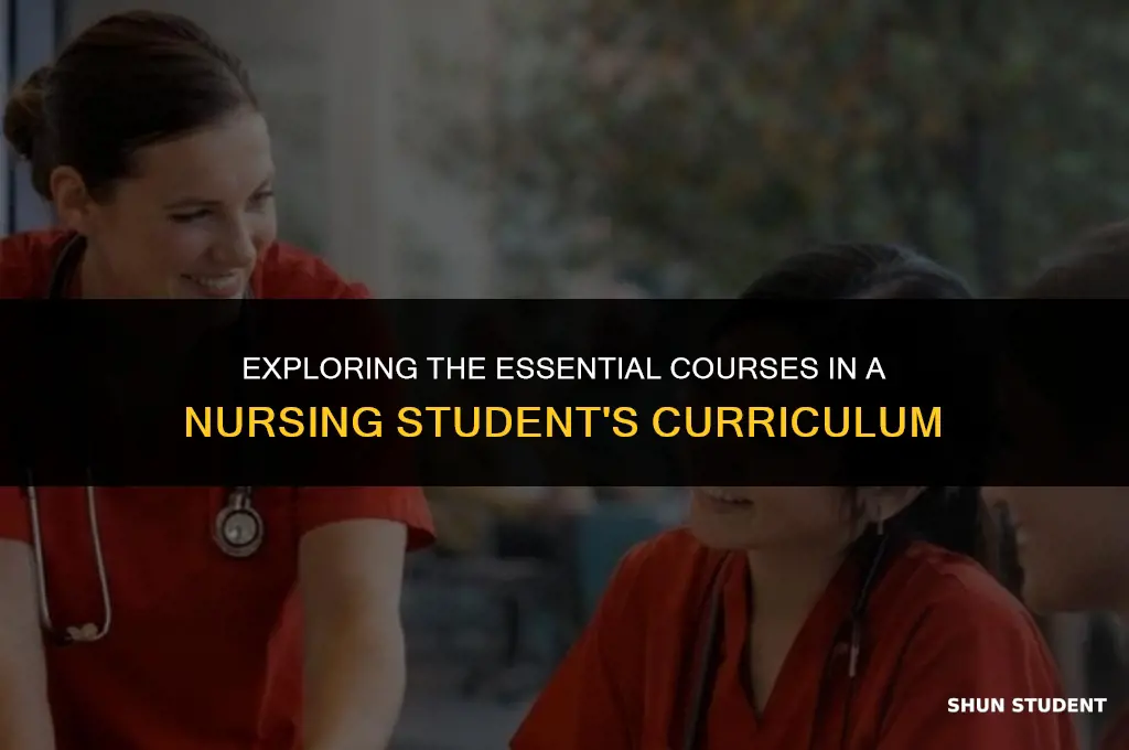 what classes do nursing students take