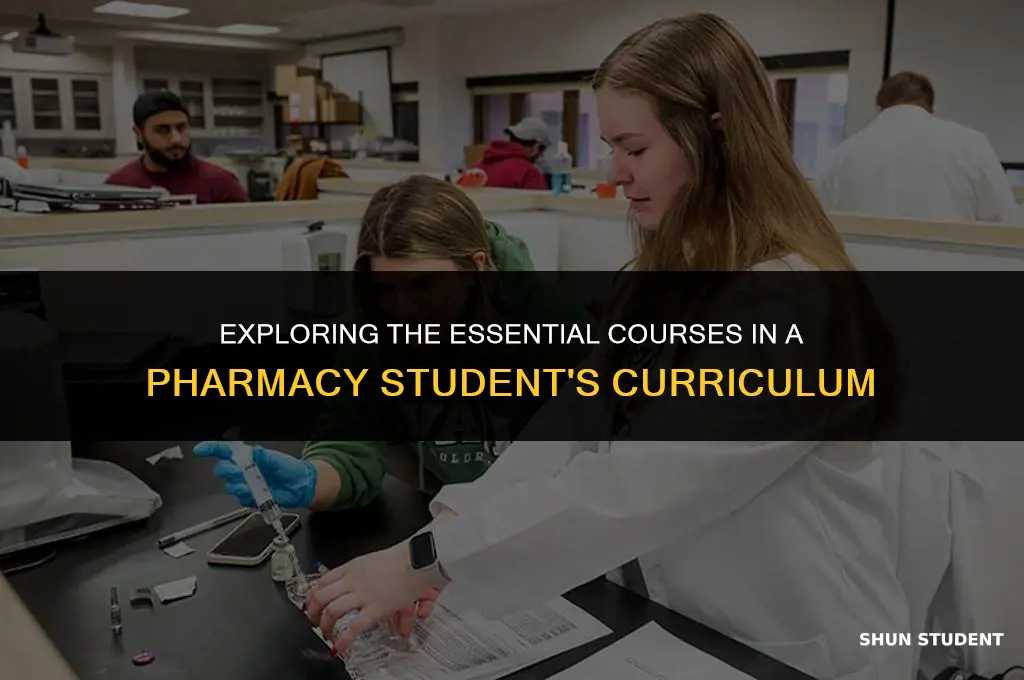 what classes do pharmacy students take