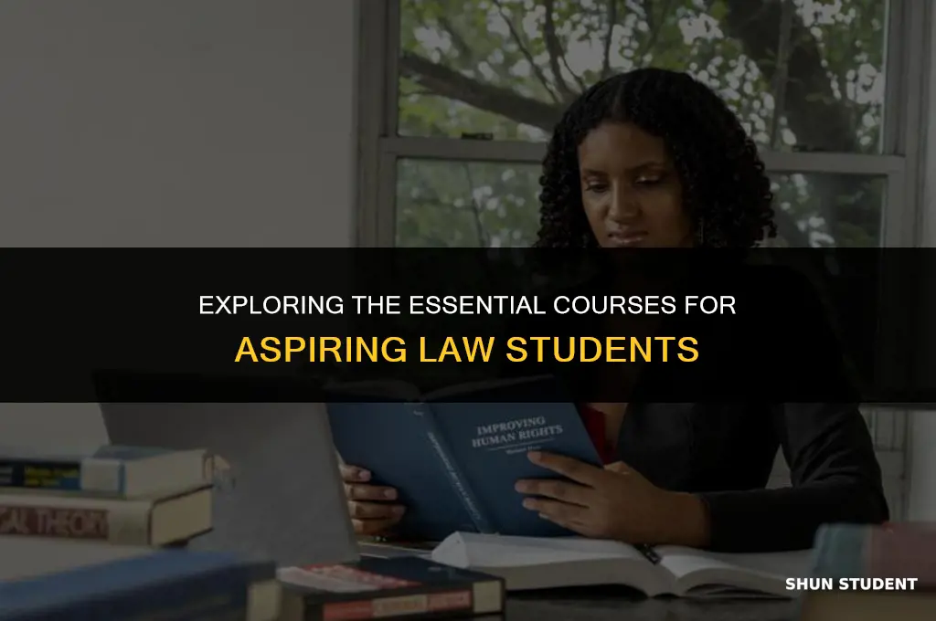 what classes do pre law students take
