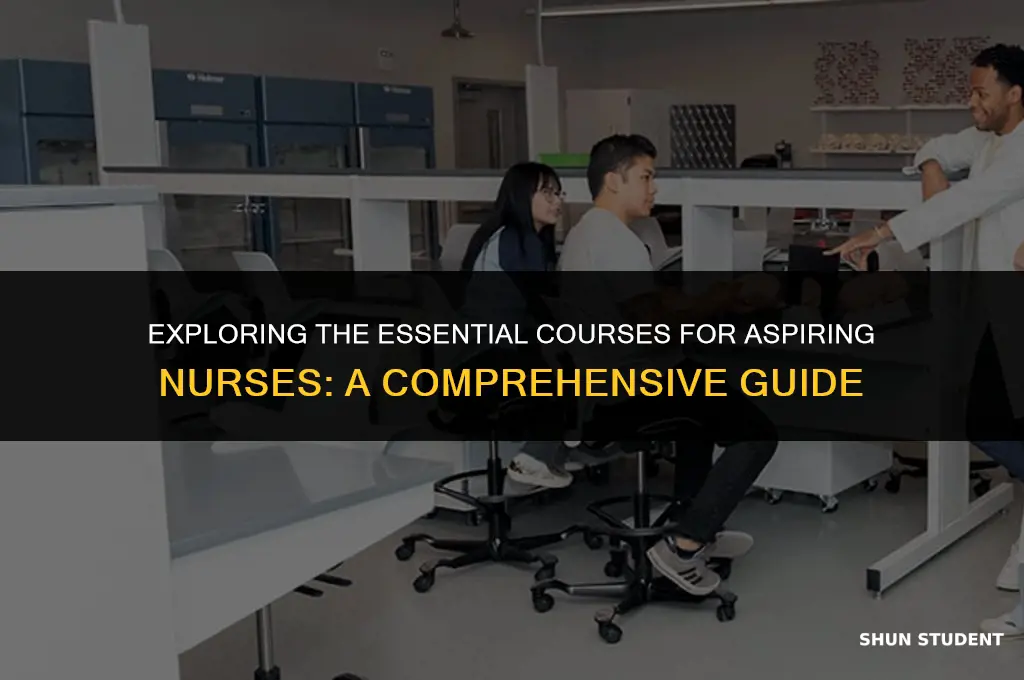 what classes do pre nursing students take