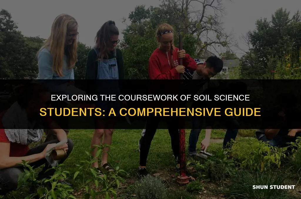 what classes do soil science students take