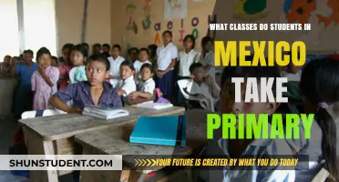 Exploring Primary Education in Mexico: A Comprehensive Guide to Classes and Curriculum