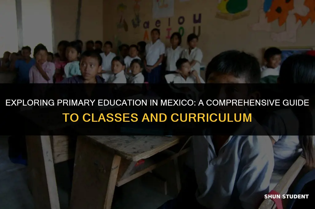 what classes do students in mexico take primary