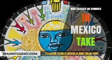 Exploring the Academic Curriculum of Mexican Students: A Comprehensive Guide