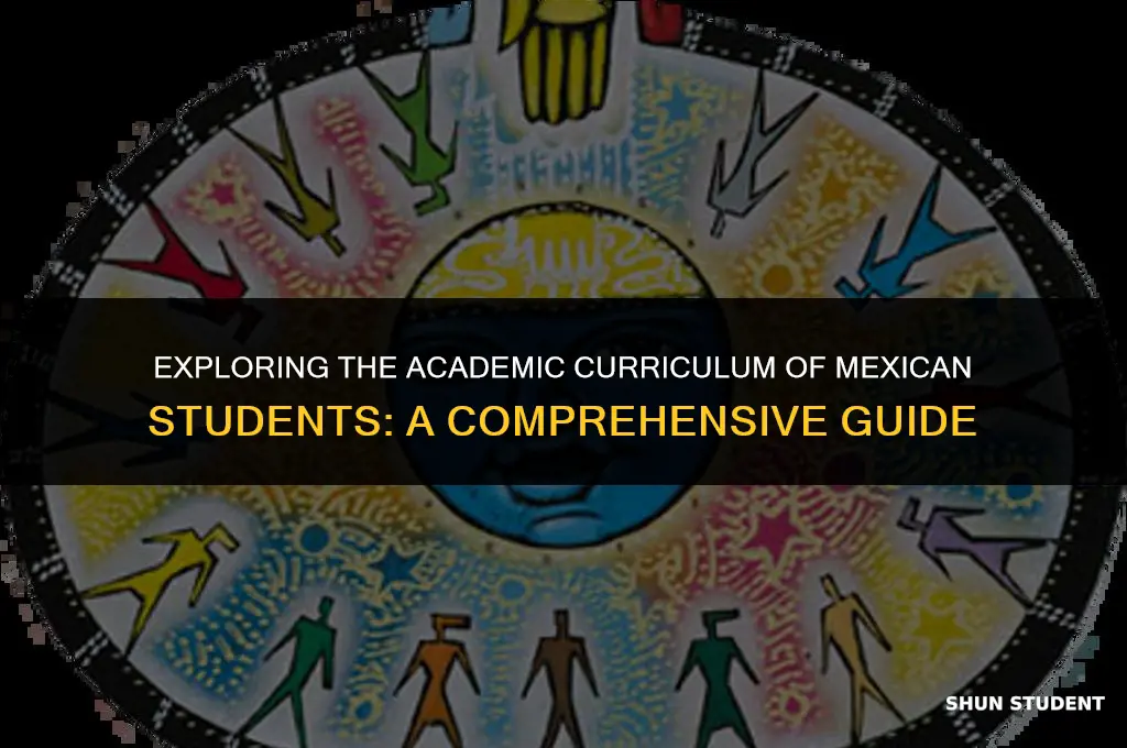 what classes do students in mexico take